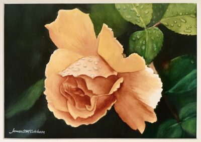 After The Rain