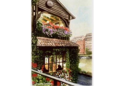 Delight of Strasburg
