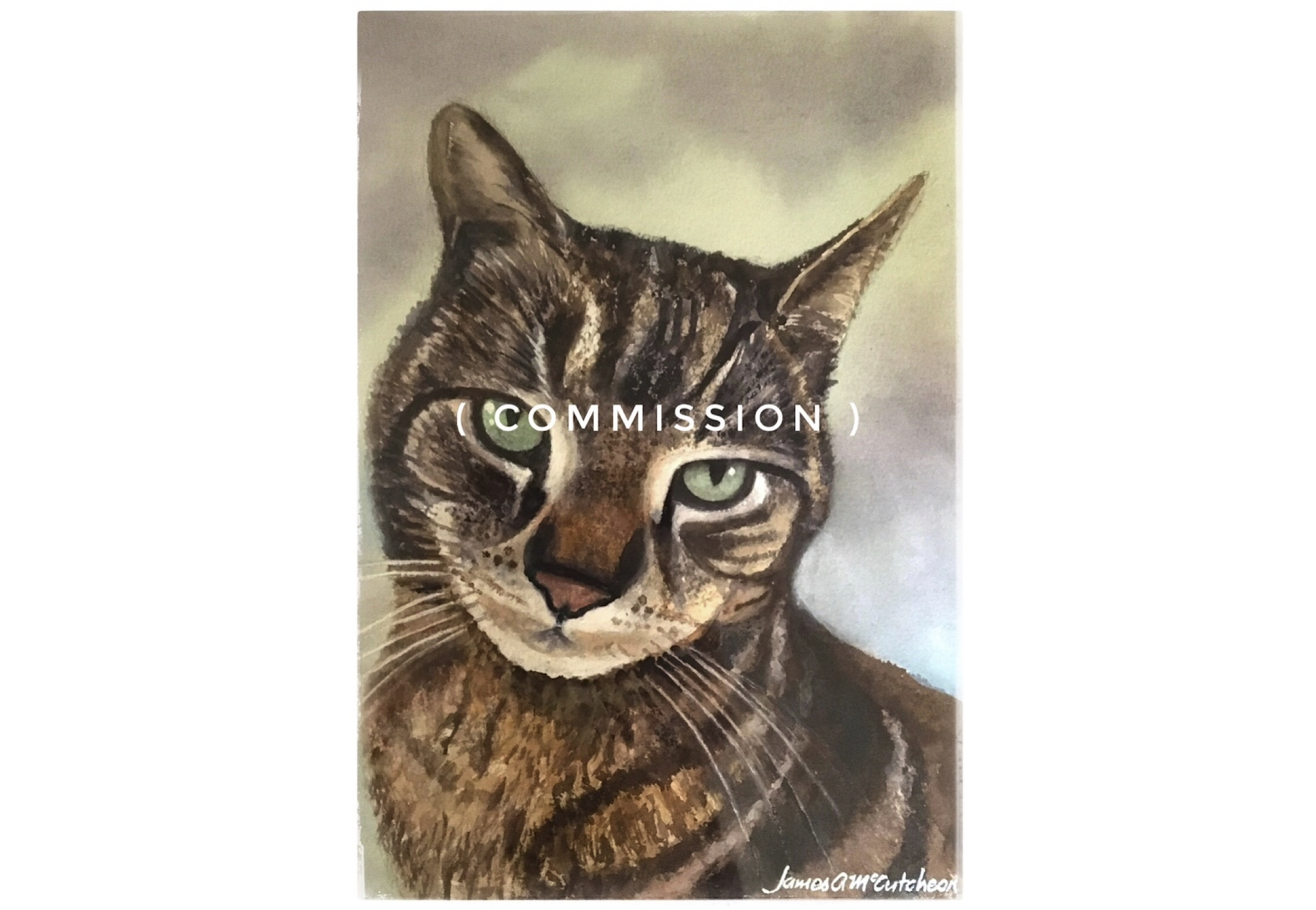 Puss – Commission
