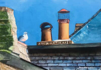 Surveying The Roof Tops