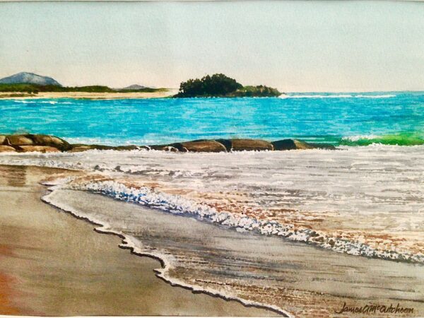 Pincushion Island