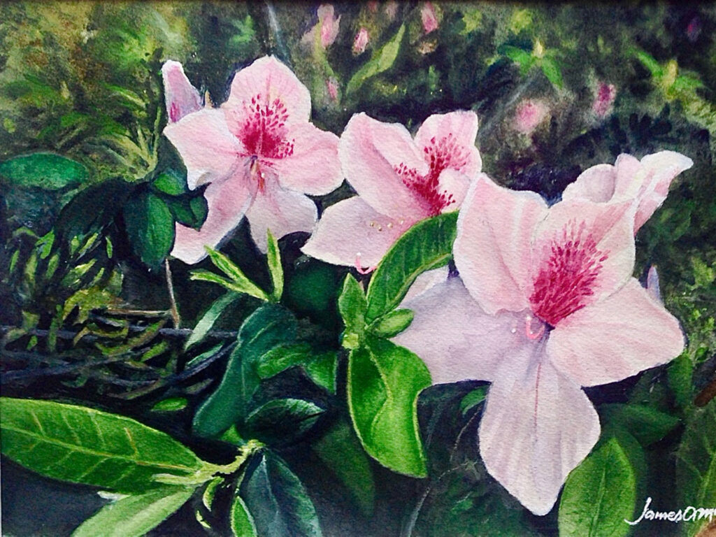 James McCutcheon watercolour painting